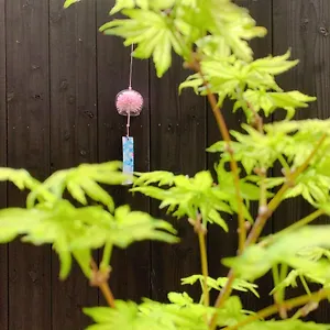 桃夭庵 Touyouan Momo House Kujo 一棟貸切 Holiday home Kyoto